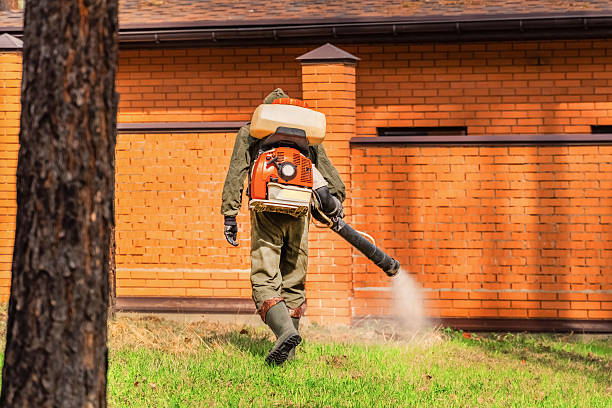 Trusted Cockroach Control service in West Plains, MO - Nex Pest Control